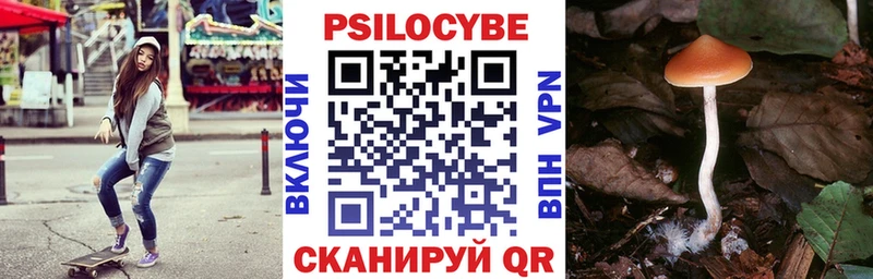 Купить  Ирбит  Псилоцибиновые грибы MAGIC MUSHROOMS 